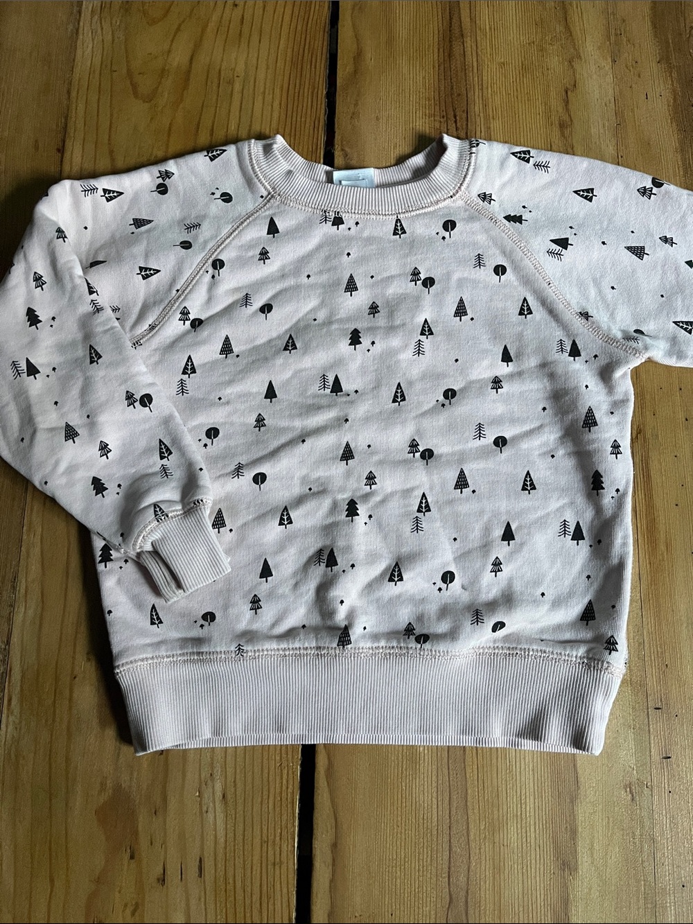 HANNA ANDERSSON 110 Pale Pink Pine Tree Printed Sweatshirt Pullover